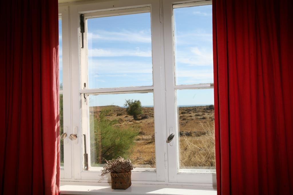 Faro Punta Delgada Hotel ห้อง รูปภาพ